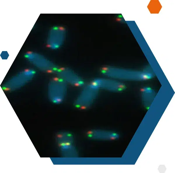 Formes slider 2 CRCM dernières actualités
