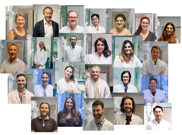Image équioe Ciblage des réseaux de signalisation et du microenvironnement dans le cancer CRCM