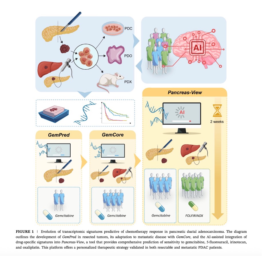Image d'illustration de l'équipe Recherche Translationnelle et Thérapeutique dans le Cancer du Pancréas - CRCM