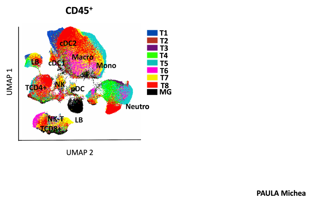 CD45+ équipe ciblage des réseaux - CRCM
