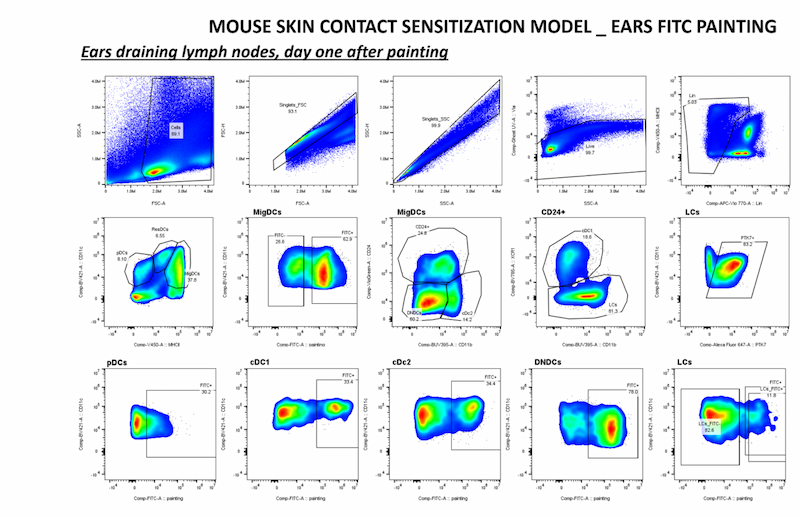 Ears draining équipe Ciblage des réseaux et microenvironnement dans le cancer - CRCM