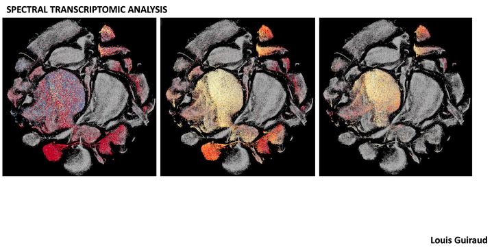 Spectral transcriptomic analysis - CRCM