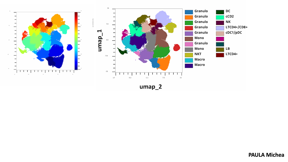 Umap équipe Ciblage des réseaux et microenvironnement dans le cancer - CRCM