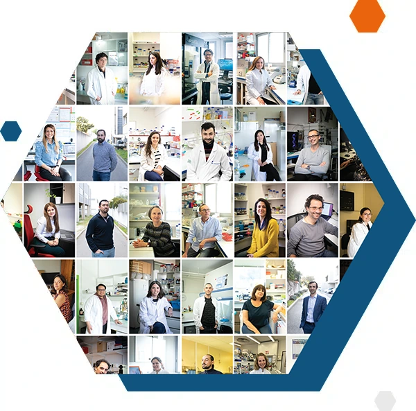 Forme octogonale du slider du header du site CRCM